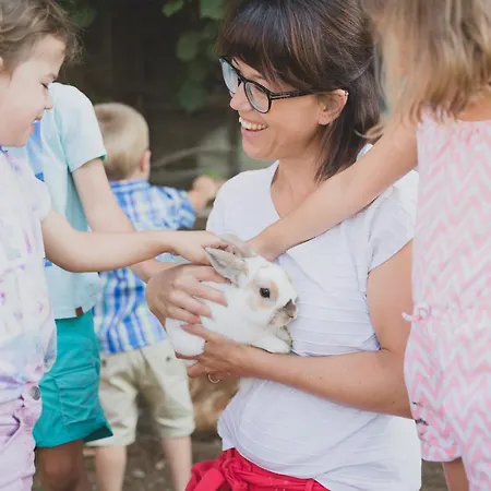 Apartman Drittlhof Hopfgarten im Brixental